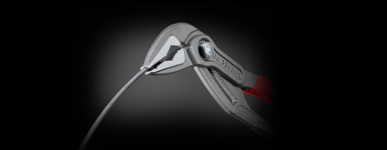 LandingPage_Cobra_ES_05