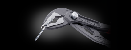 LandingPage_Cobra_ES_06