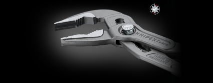 LandingPage_Cobra_ES_09