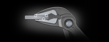 cobra