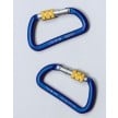 Tool Tethering Locking Carabiners | 00 50 03 T BKA