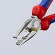 Combination Pliers Chrome Plated | 03 05 180