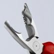 Dismantling Pliers | 13 42 165