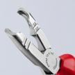 Dismantling Pliers | 13 42 165