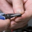 Electronics Pliers-Half Round Tips | 34 22 130
