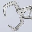 Welding Grip Pliers | 42 34 280